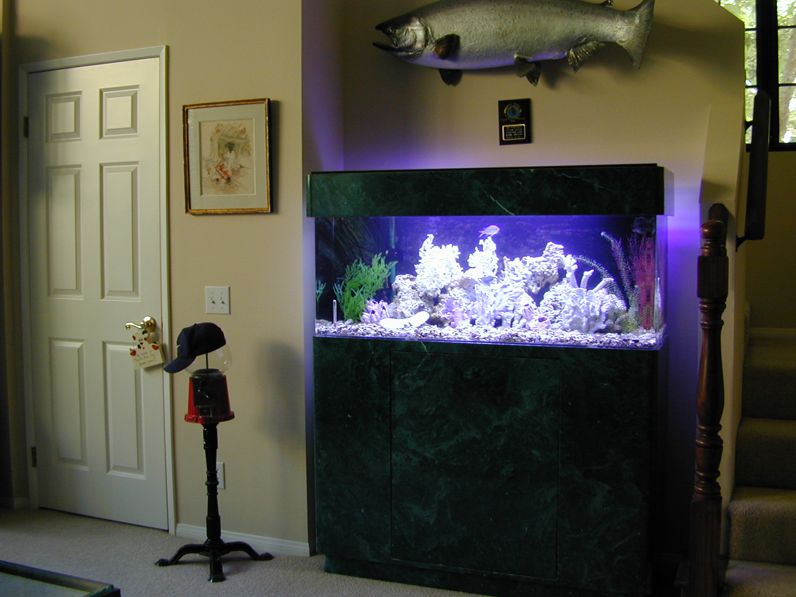 Residential Aquariums The premier source for custom aquariums