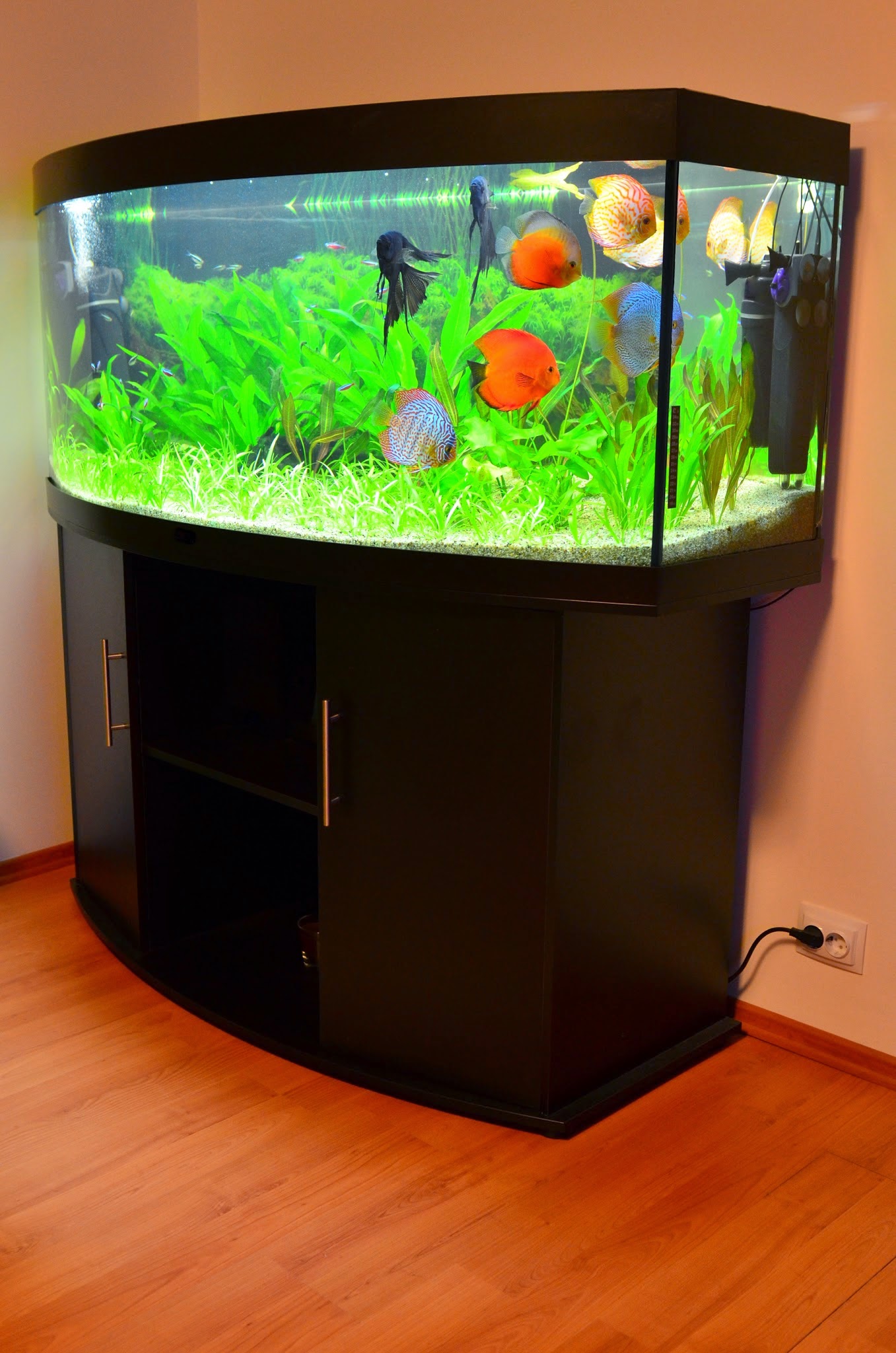 Custom Aquariums Near Me at Jennifer Beasley blog