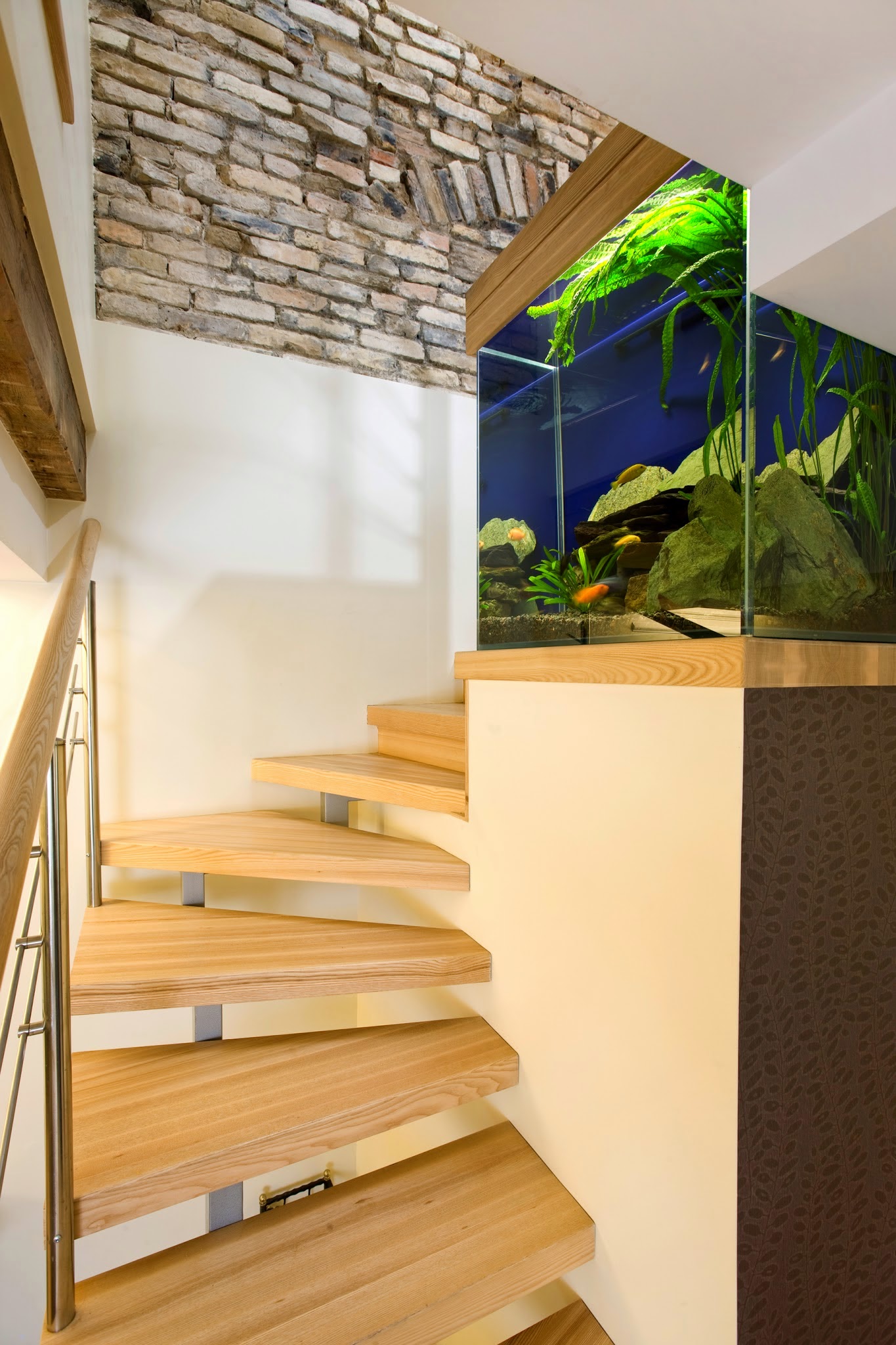 Residential Aquariums The premier source for custom aquariums